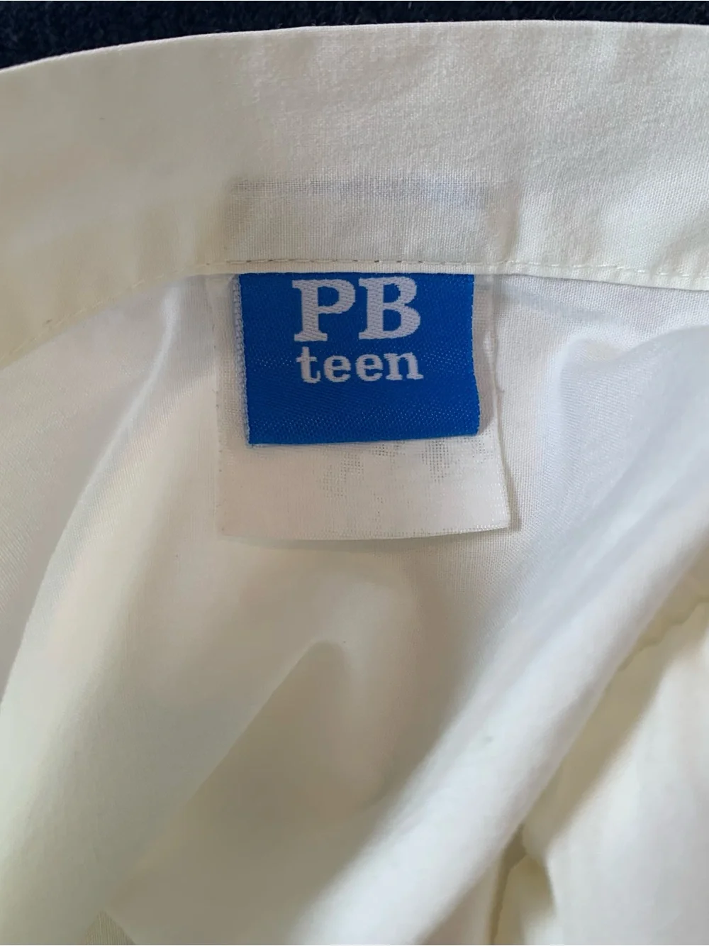 Pottery Barn Teen Ivory Velvet Stand Pillow Sham  Set of (2)